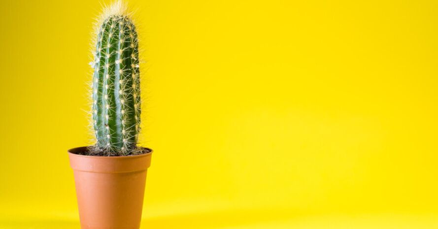 After enlargement surgery, you may experience discomfort in your penis.