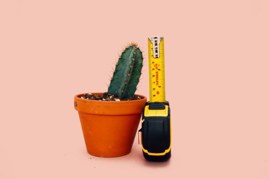Small penis size is a major problem for men
