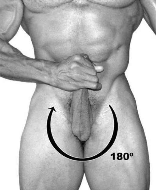 bell exercise to enlarge the penis